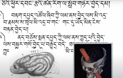 Neuroscience Course 1: Introduction (~17h) དབང་རྩ་ཚན་རིག་གི་སློབ་ཚན་དང་པོ། (~ཆུ་ཚོད་༡༧)