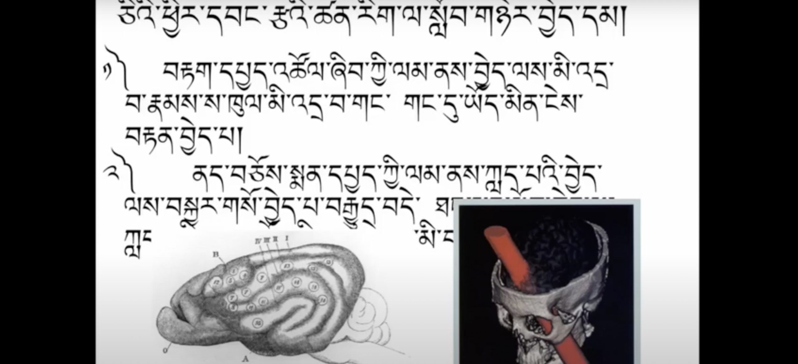 Neuroscience Course 1: Introduction (~17h) དབང་རྩ་ཚན་རིག་གི་སློབ་ཚན་དང་པོ། (~ཆུ་ཚོད་༡༧)